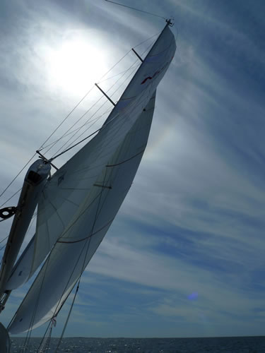 mainsail and twin jibs in harmony off the west coast of Sweden